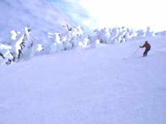 Skier on Osprey run