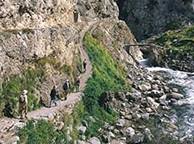 Picos de Europa