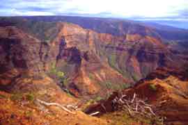 Waimea Canyon