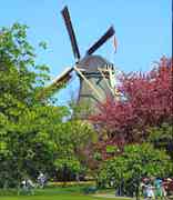 Windmill