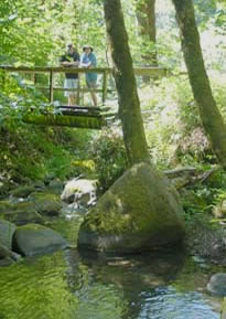 Bridge at Flora Dell