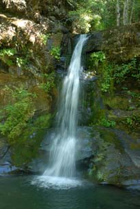 Flora Dell Falls