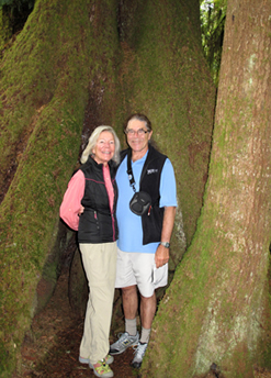 Lake Quinault hike