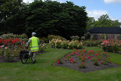 walking_through_a_rose_garden