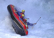 New Zealand River Rats