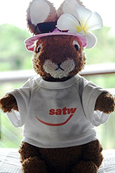 SATW teddy rabit