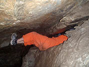 California cavern slithering