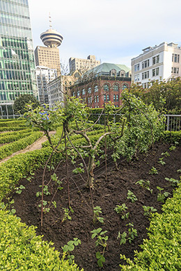 Vancouver hotel roof garden