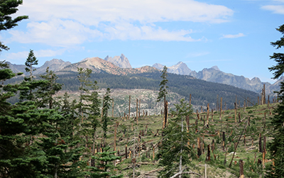 John Muir Trail view of the Minerets and High Sierras