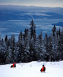 Le Massif sled run