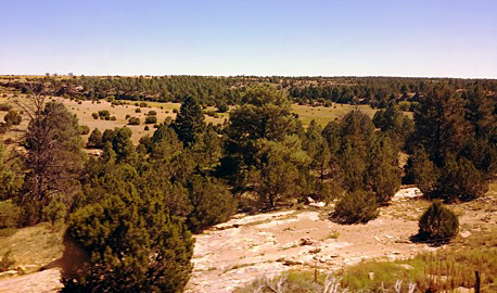 New Mexico scenery from Amtrak