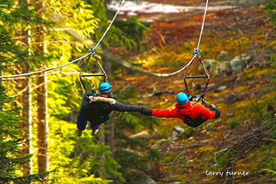 Whistler zipline