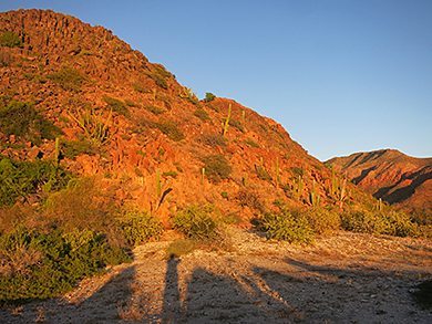 Sea of Cortez coast