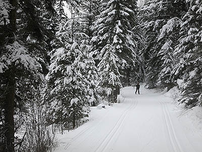 Dawn Mountain skiing