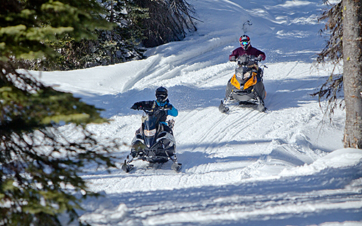 Golden, BC snowmobiling