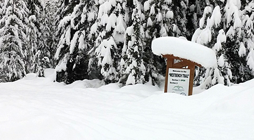 Golden, BC snowmobiling Quartz Creek