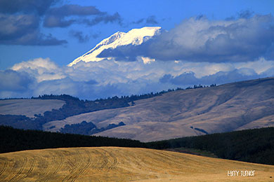 Mt. Adams viewed from The Dalles