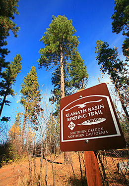 Klamath birding trail