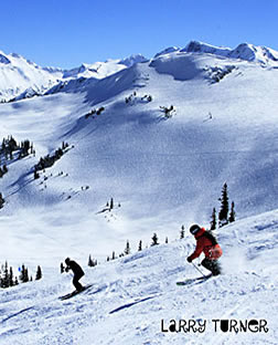 Blackcomb skiers