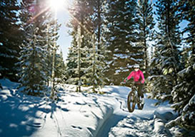 Tamarack fat time bike