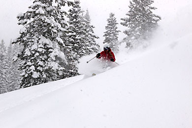 Tamarack ski powder