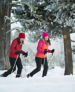 Tamarack snowshoeing