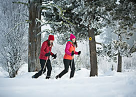 Tamarack snowshoeing