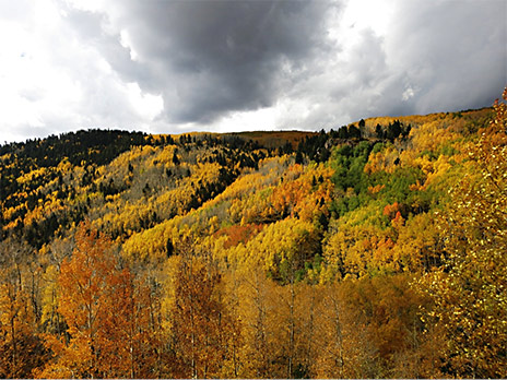 San Juan Foothills of the Rocky Mountains