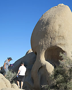 Joshua Tree National Park