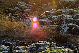 Elf Guardian Hellisgerdi Park Iceland