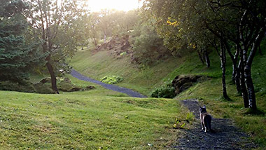 Hellisgerdi Park Elf Garden