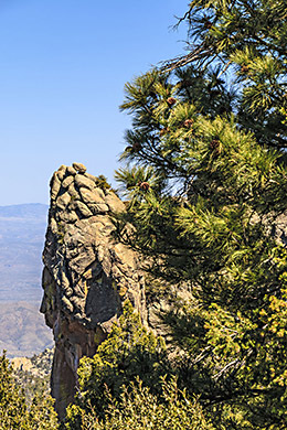 Mt. Lemmon boulders that look like faces