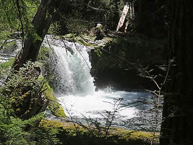 North Umpqua Trailside waterfall