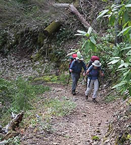 Umpqua Trail hikers