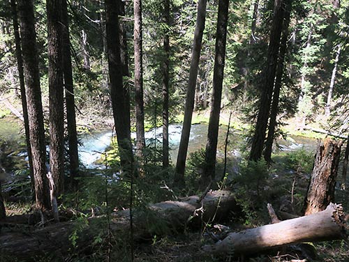 North Umpqua Trail river