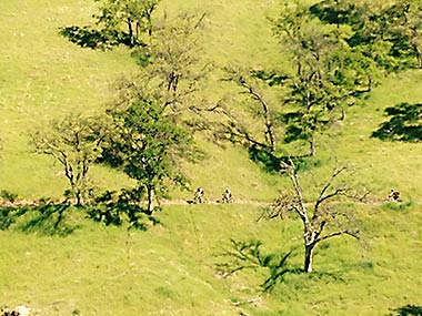 Calaveras mountain bikers