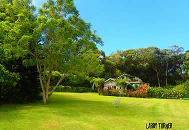 Road to Makawao Coffee Farm house