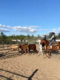 New Brunswick, Shepody, Broad Leaf Ranch