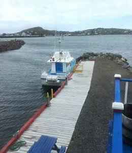 Newfoundland, Twillingate Iceberg boat