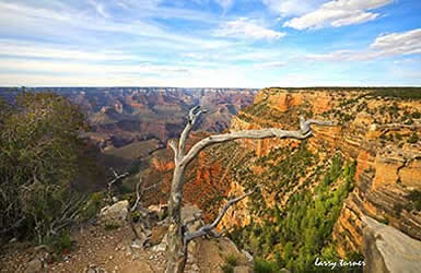 Grand Canyon South Rim