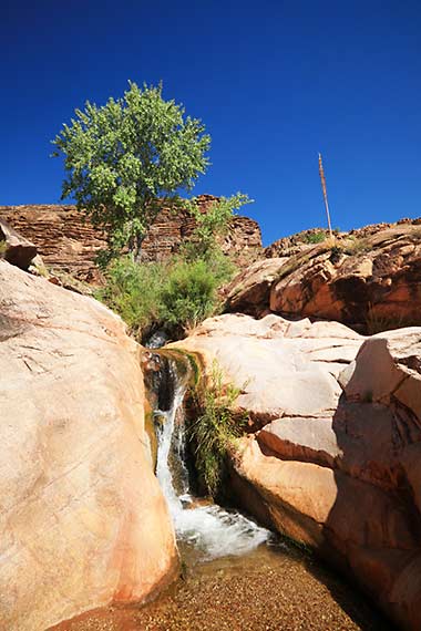 Grand Canyon Bright Angel Trail Slot Canyon waterfall