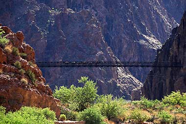 Grand Canyon Phantom Ranch mule team crossing Colorado River