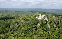 Guatemala el Mirador la Danta aerial view