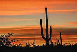 White Stallion Ranch sunset