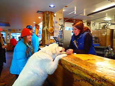 June Mountain bar treats for dog