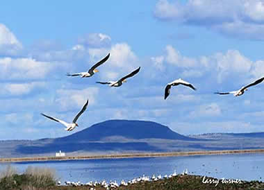 Tulelake view