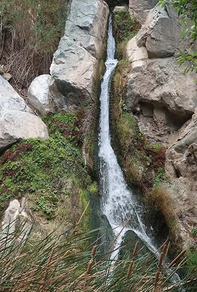 Death Valley National Park Darwin Falls