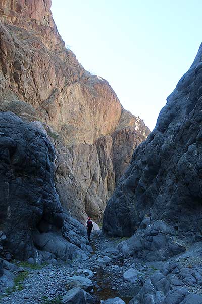 Death Valley National Park Willow Creek Canyon