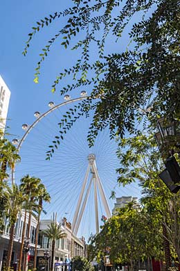 Las Vegas High Roller