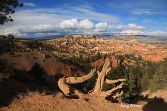 Adventures from Kanab, Utah